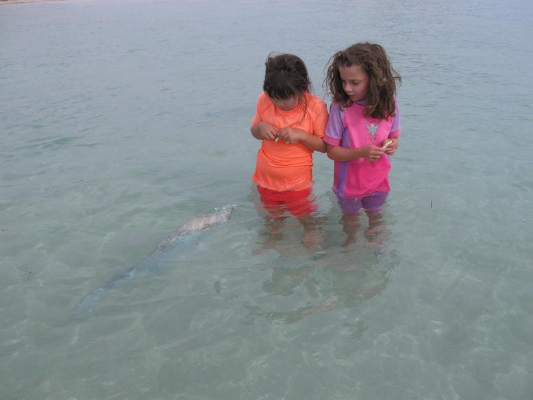 Scary Snapper - Coral Bay.JPG