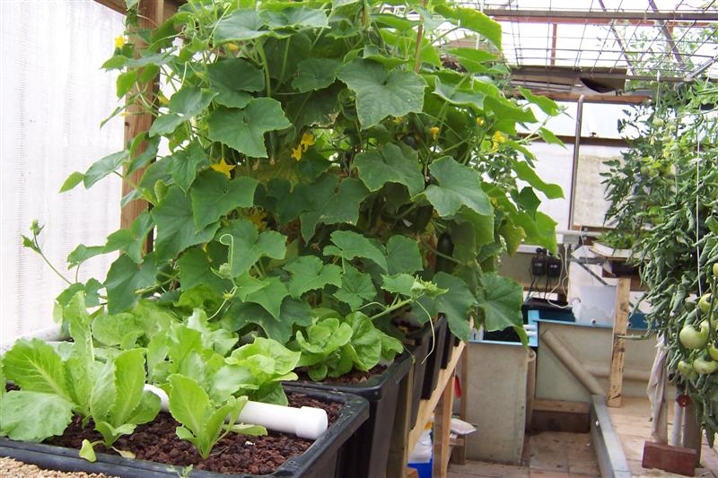 100_0966 (Medium).JPG