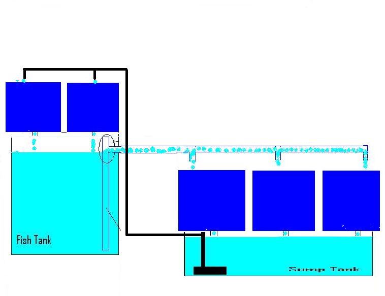 CHIFT PIST extra GB.JPG