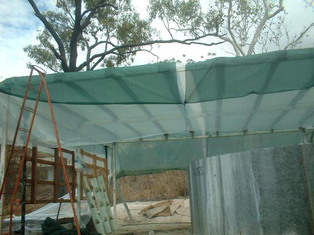 site 091206 greenhouse with shade.jpg
