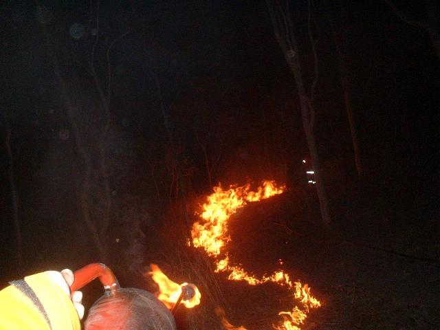 S fire for Steve.jpg