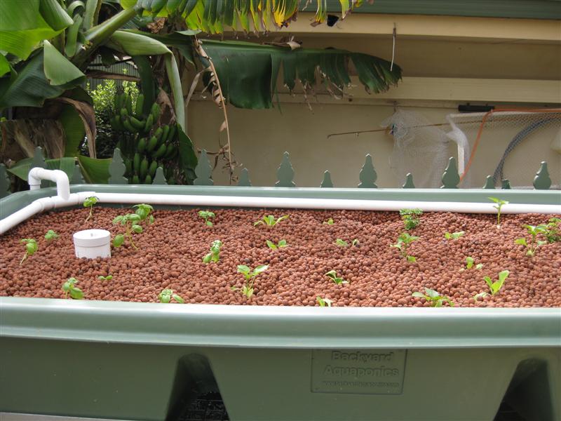 IMG_0271 (Medium).JPG