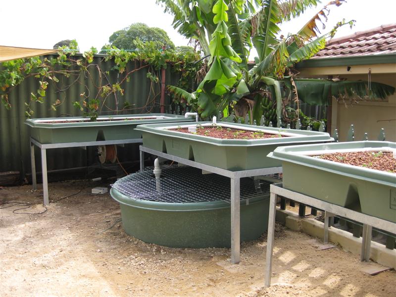 IMG_0270 (Medium) (2).JPG