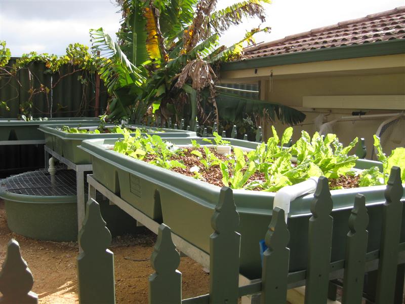 IMG_0318 (Medium).JPG