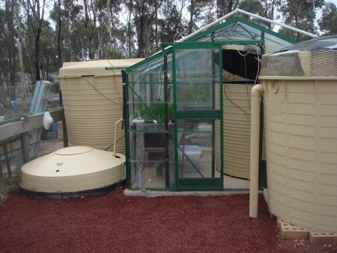 aquaholic inc may 2009 002.jpg