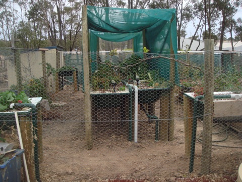 aquaholic inc may 2009 004.jpg