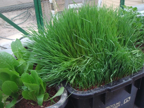 aquaholic inc may 2009 006.jpg