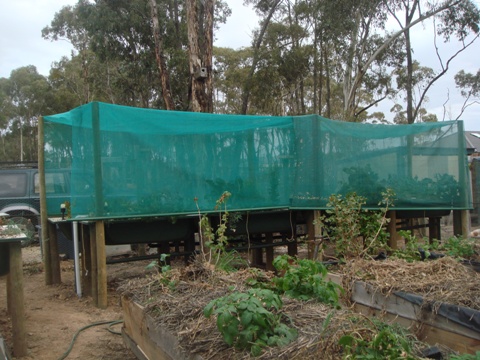 aquaholic inc may 2009 008.jpg