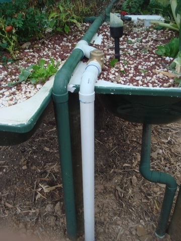 aquaholic inc may 2009 009.jpg