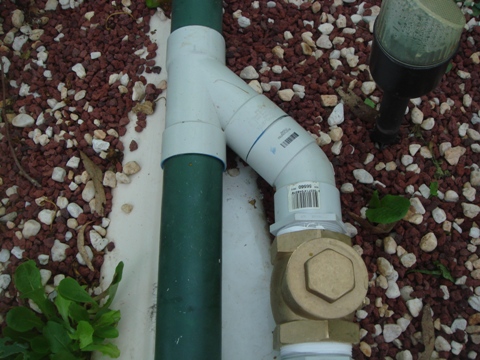 aquaholic inc may 2009 010.jpg