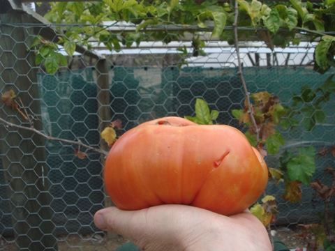 aquaholic inc may 2009 012.jpg