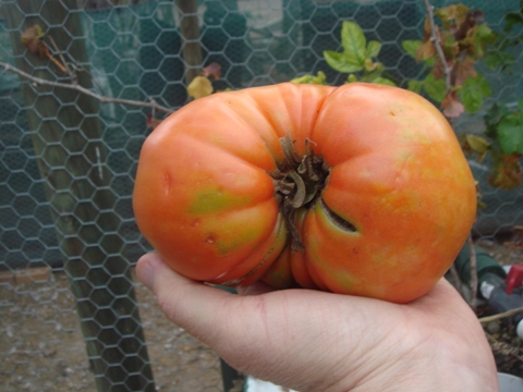 aquaholic inc may 2009 013.jpg