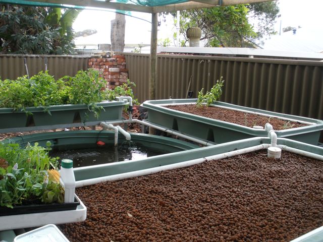 Tony Unkovich 002.jpg