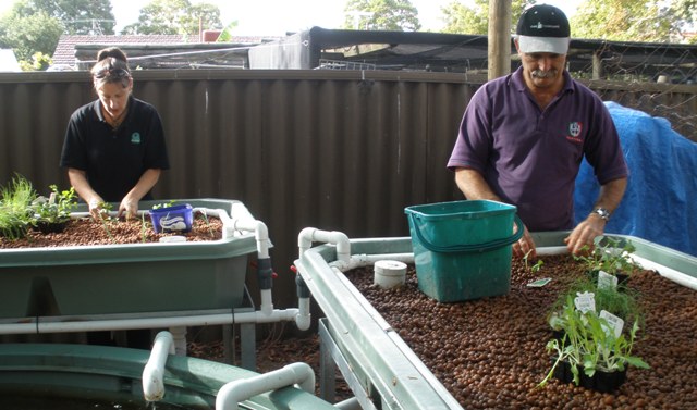 Tony Unkovich 004.jpg