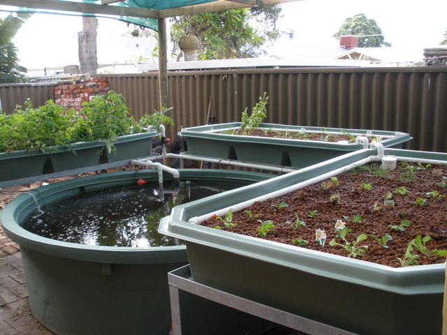 Tony Unkovich 011.jpg