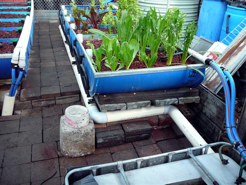 AP- 08-05-'09 009 redcopy.jpg