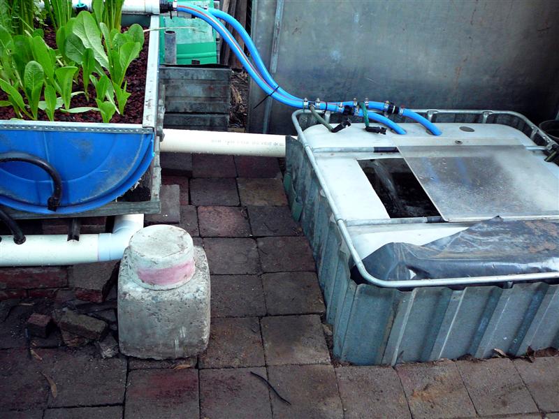 AP- 08-05-'09 008 redcopy.jpg