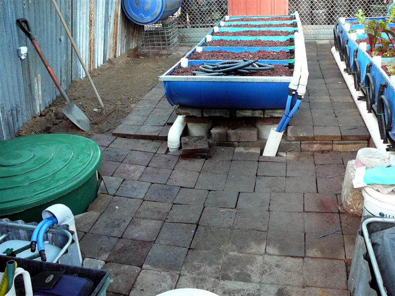 AP- 08-05-'09 011 redcopy.jpg