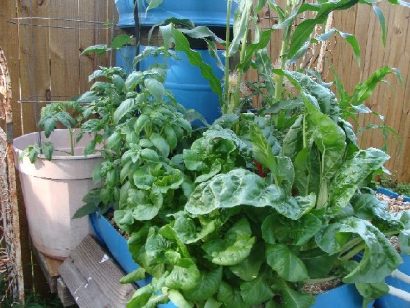 urine cycled system.JPG