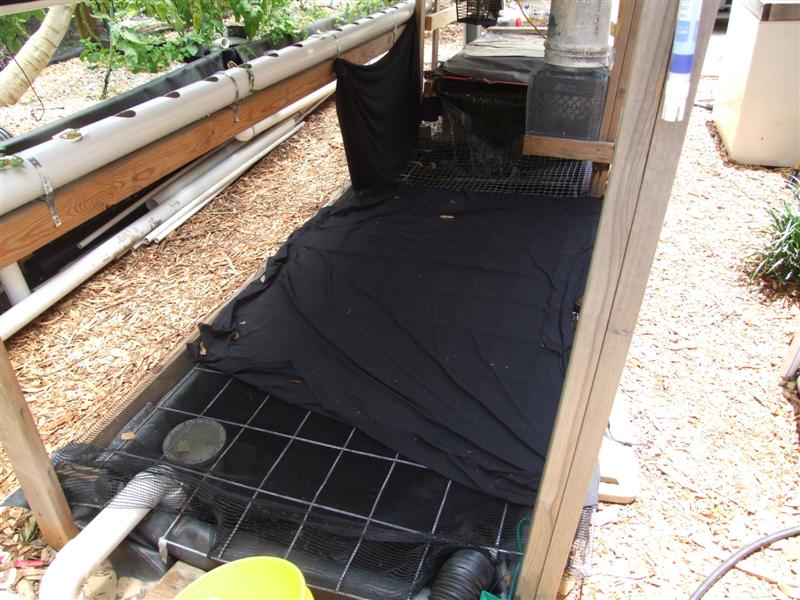 Tank with lid down (Medium).JPG