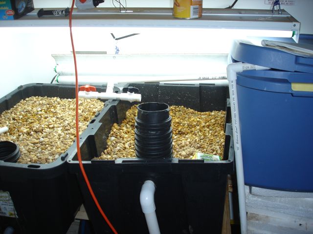 ClosetPonics - Whole Setup 1.JPG