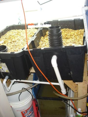 ClosetPonics - Whole Setup 2.JPG