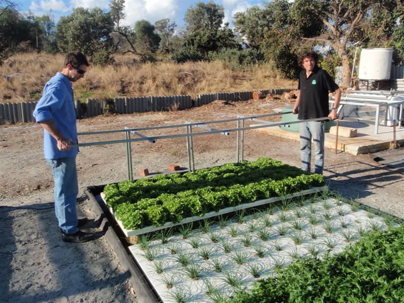 P5180200 (Medium).JPG