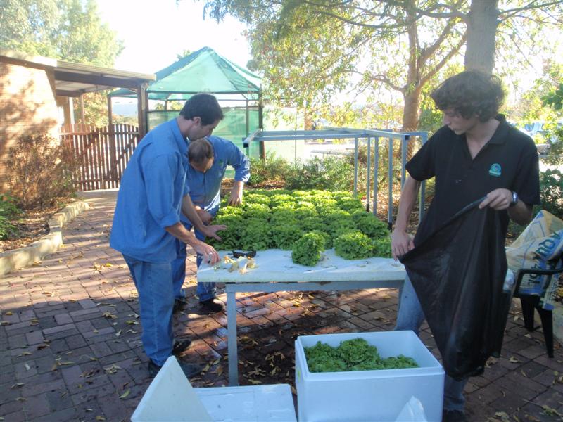 P5180217 (Medium).JPG