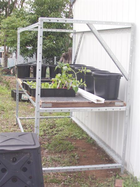 System One - 28 Dec 06 006 (Medium).jpg