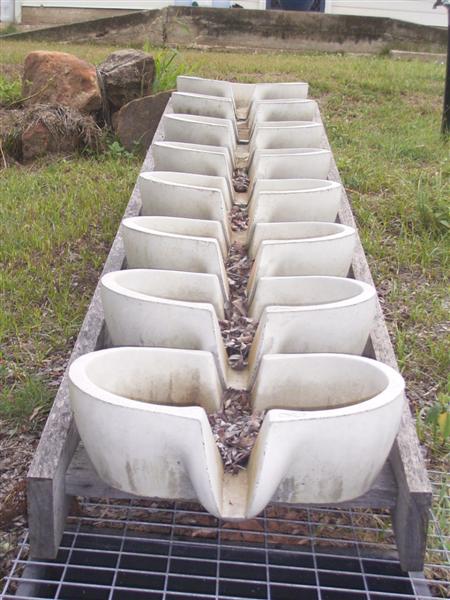 System One - 28 Dec 06 007 (Medium).jpg