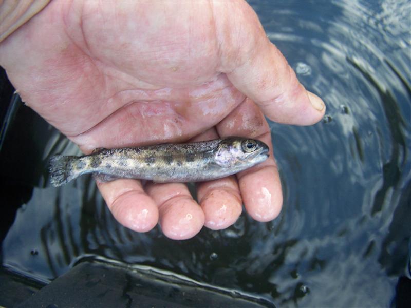 100_3107 (Medium).JPG