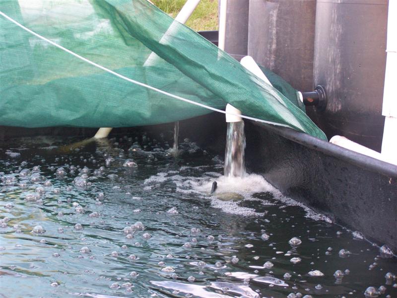 100_3109 (Medium).JPG