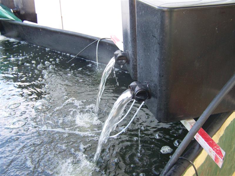 100_3110 (Medium).JPG