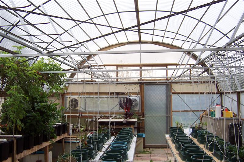 100_1406 (Medium).JPG