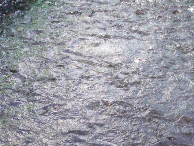 100_3127 (Medium).JPG