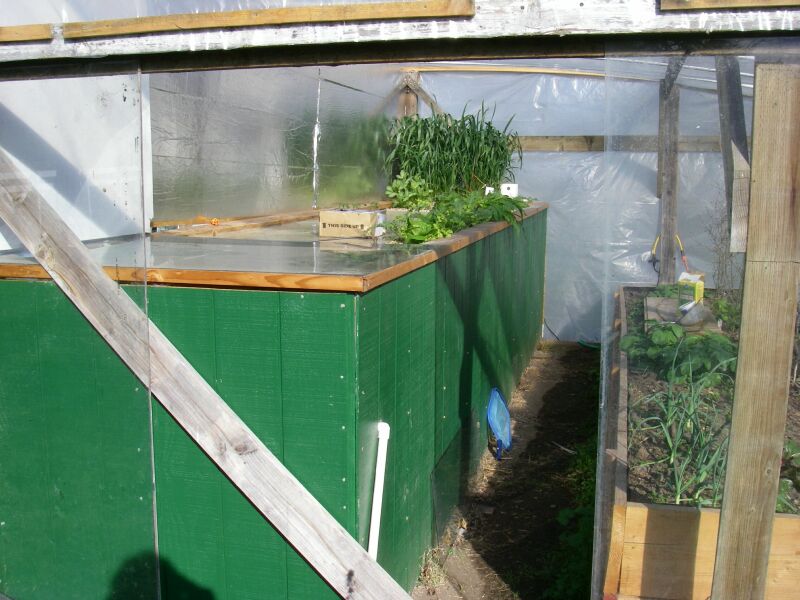 greenhouse system with wheat, February.jpg