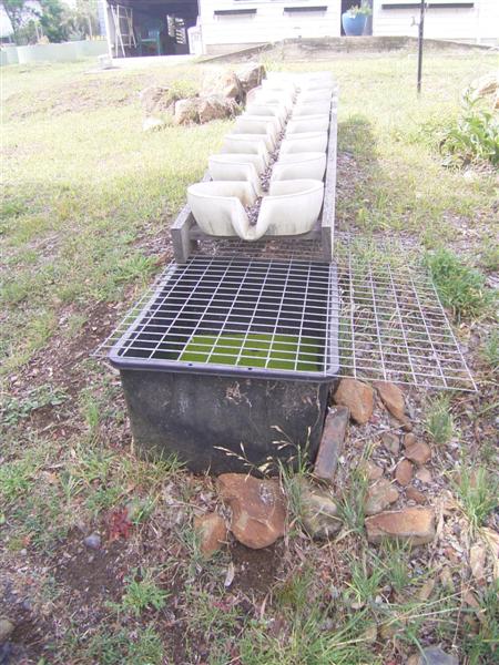 Flow Forms 004 (Medium).jpg