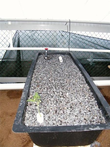 DSCF0604 (Medium).JPG