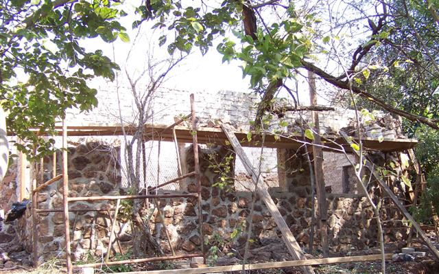 100_1938-1 (Small).JPG