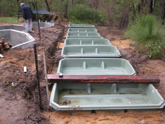 aquaponic pics 0609 001.JPG