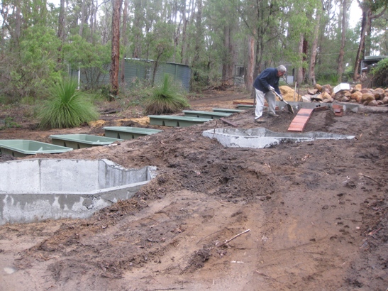 aquaponic pics 0609 003.JPG