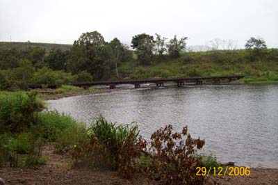 picnic looking left.jpg