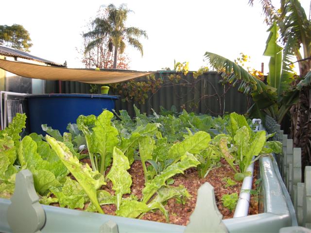 IMG_0342 (Small).JPG