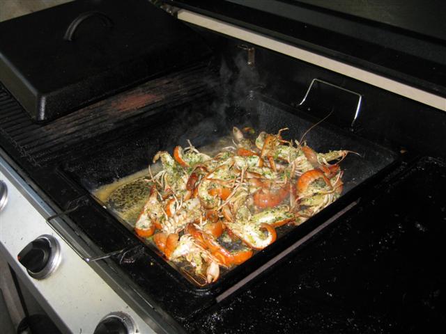 IMG_0338 (Small).JPG