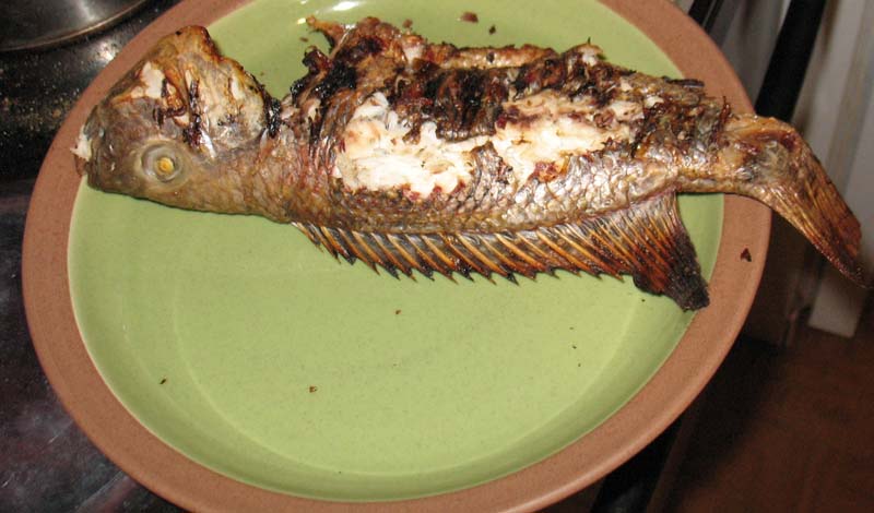fishCooked.jpg