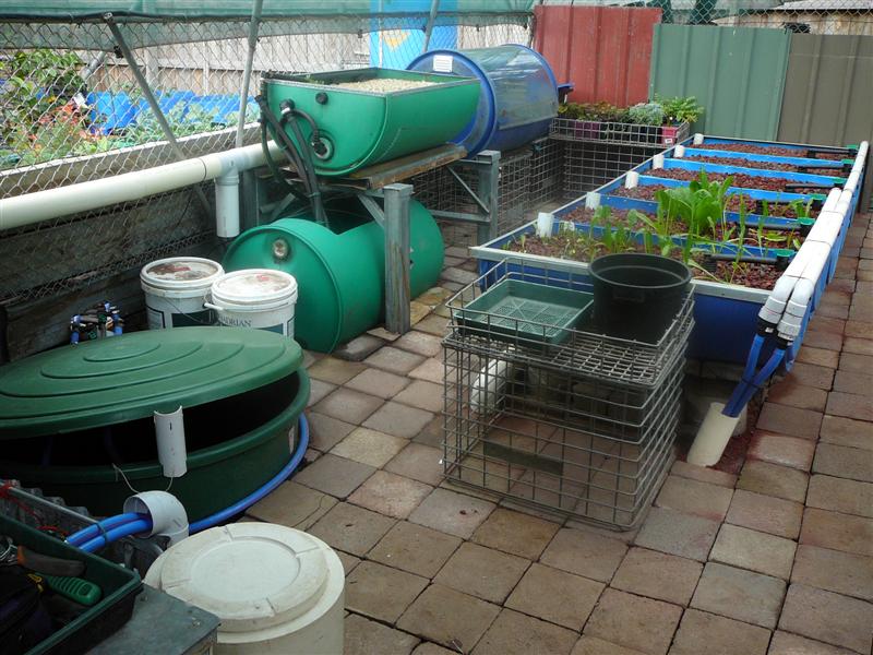 BA 20-6-09 008 (Medium3).jpg