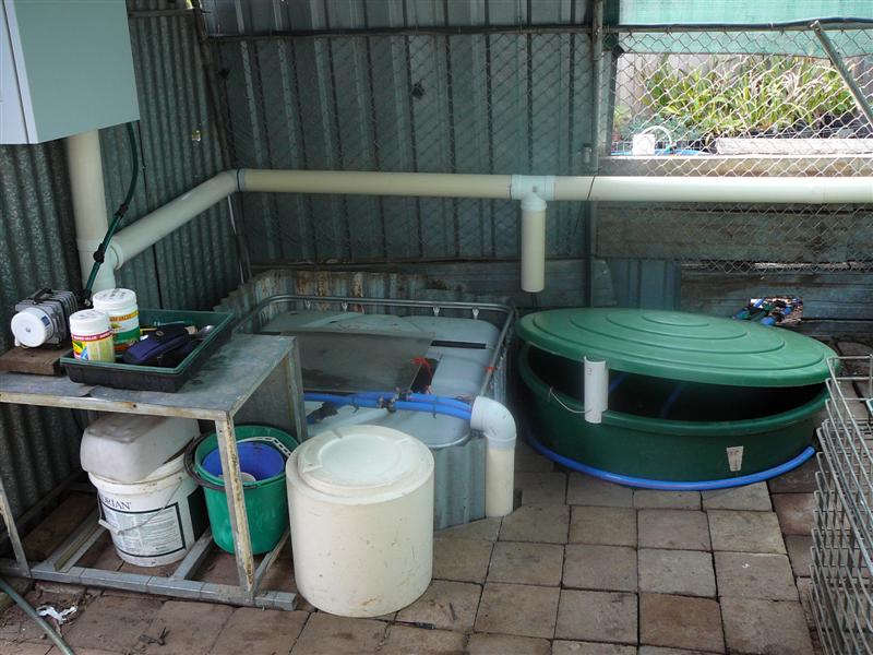 BA 20-6-09 005 (Medium2).jpg