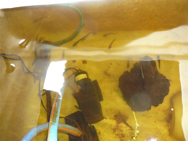 BA 20-6-09 002 (Medium1).jpg