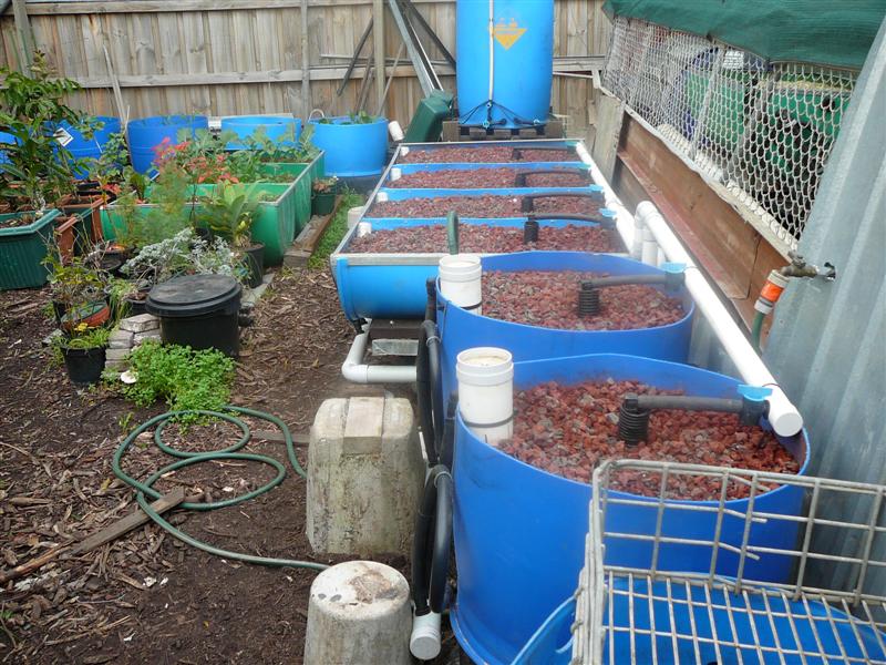 BA 20-6-09 010 (Medium5).jpg