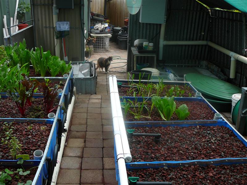 BA 20-6-09 007 (Medium4).jpg